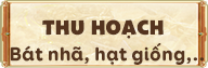 Đêm huy hoàng - Banner